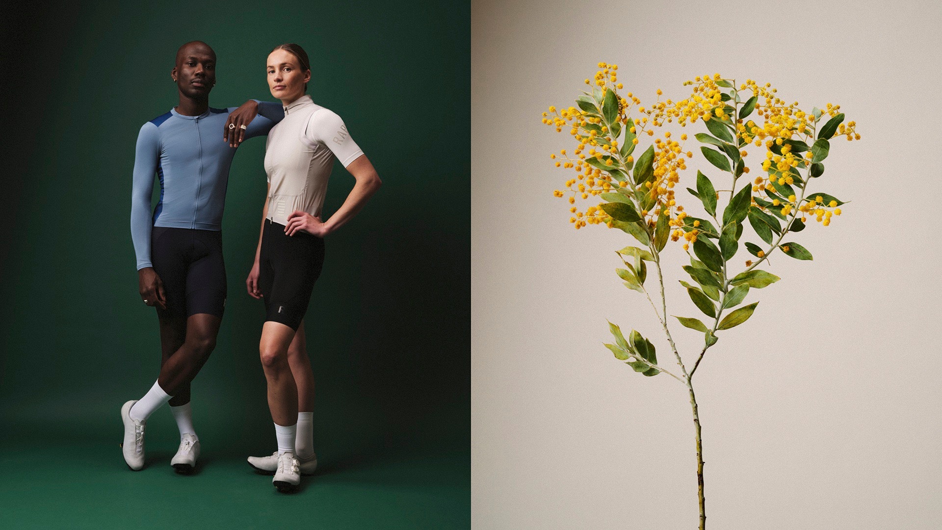 h124_studio_NEWSEASON-