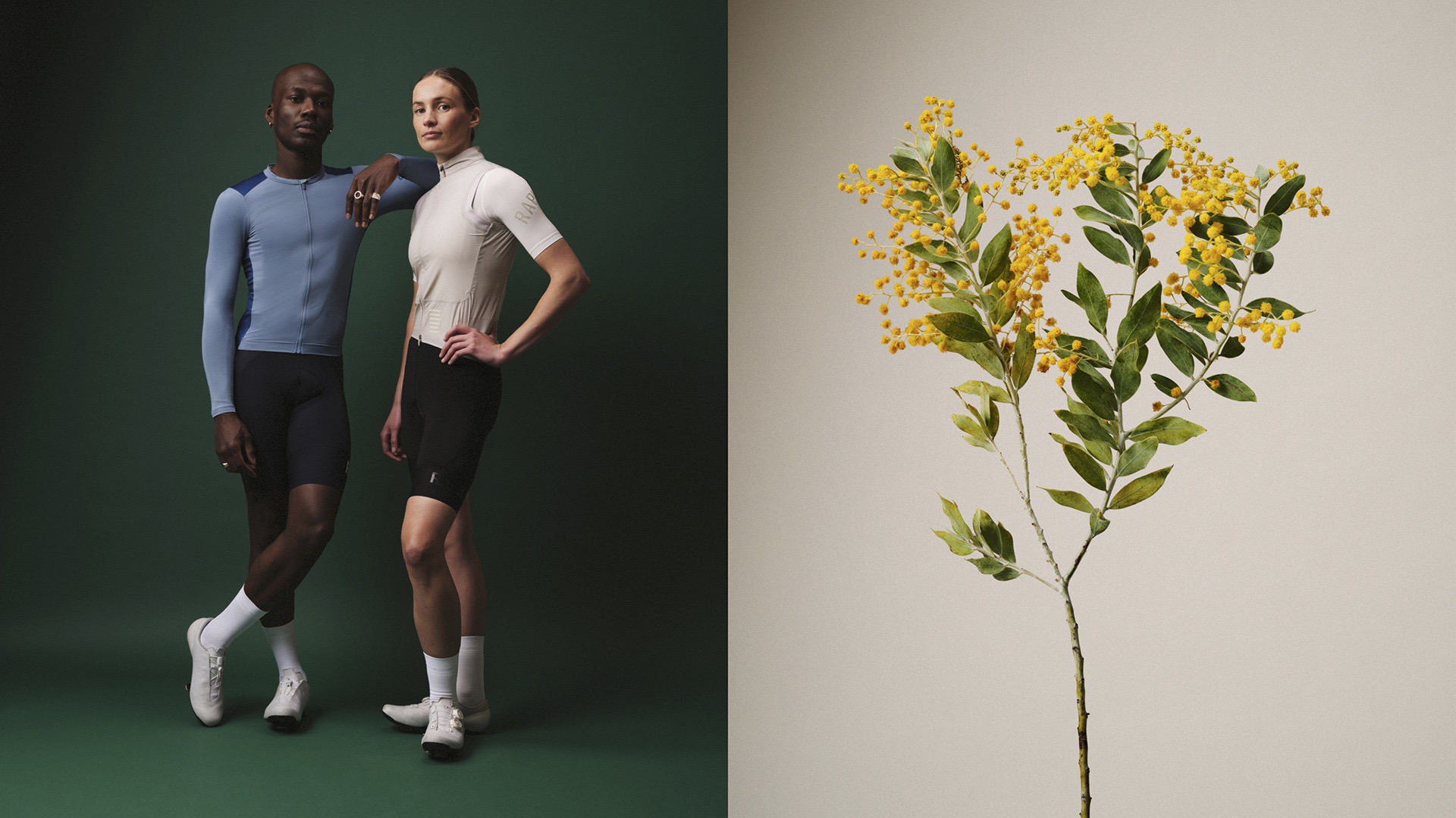 人生に彩りを | Rapha