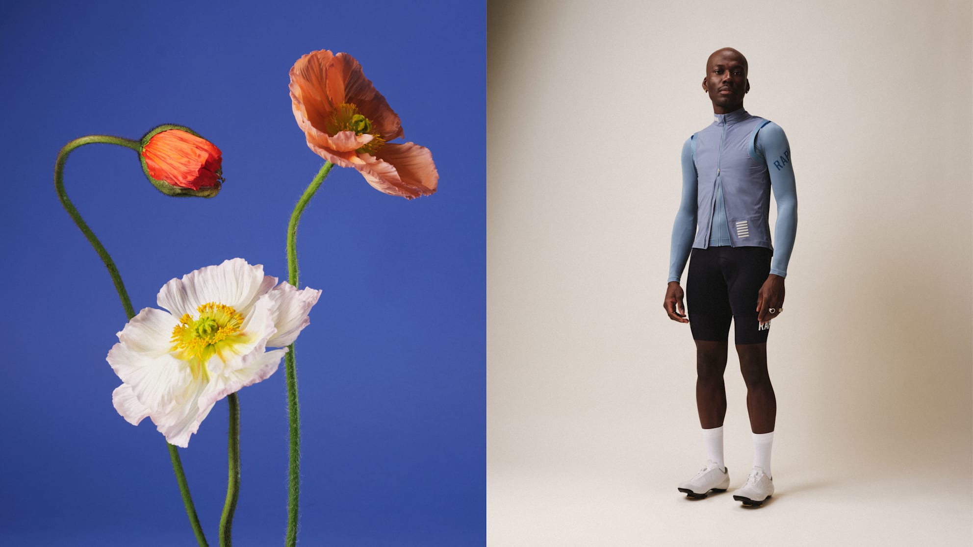 Rapha sale outlet usa