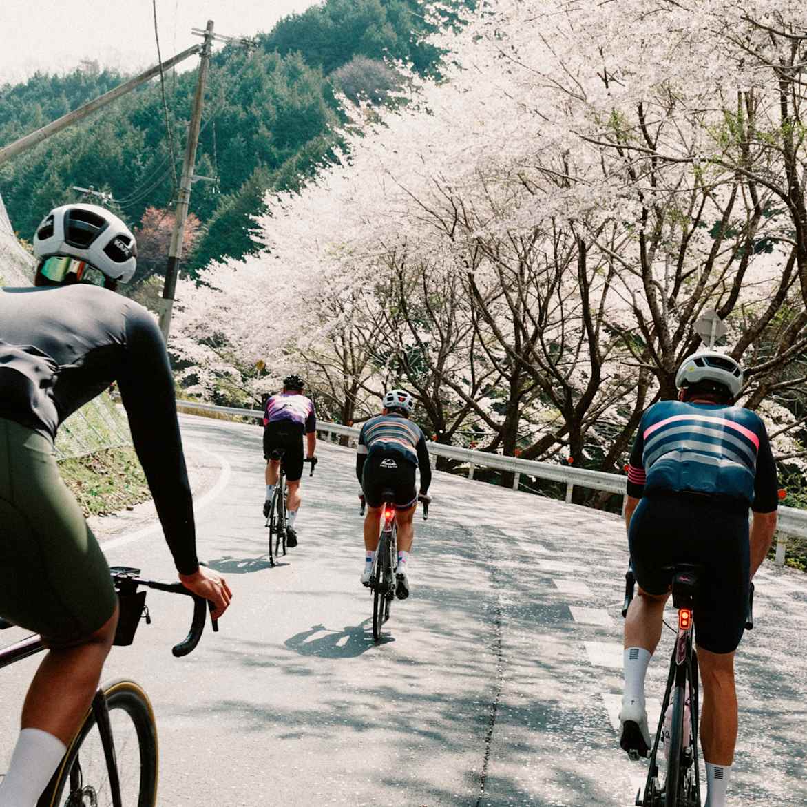 クラブ キット ＆ 特別限定版コレクション | Rapha
