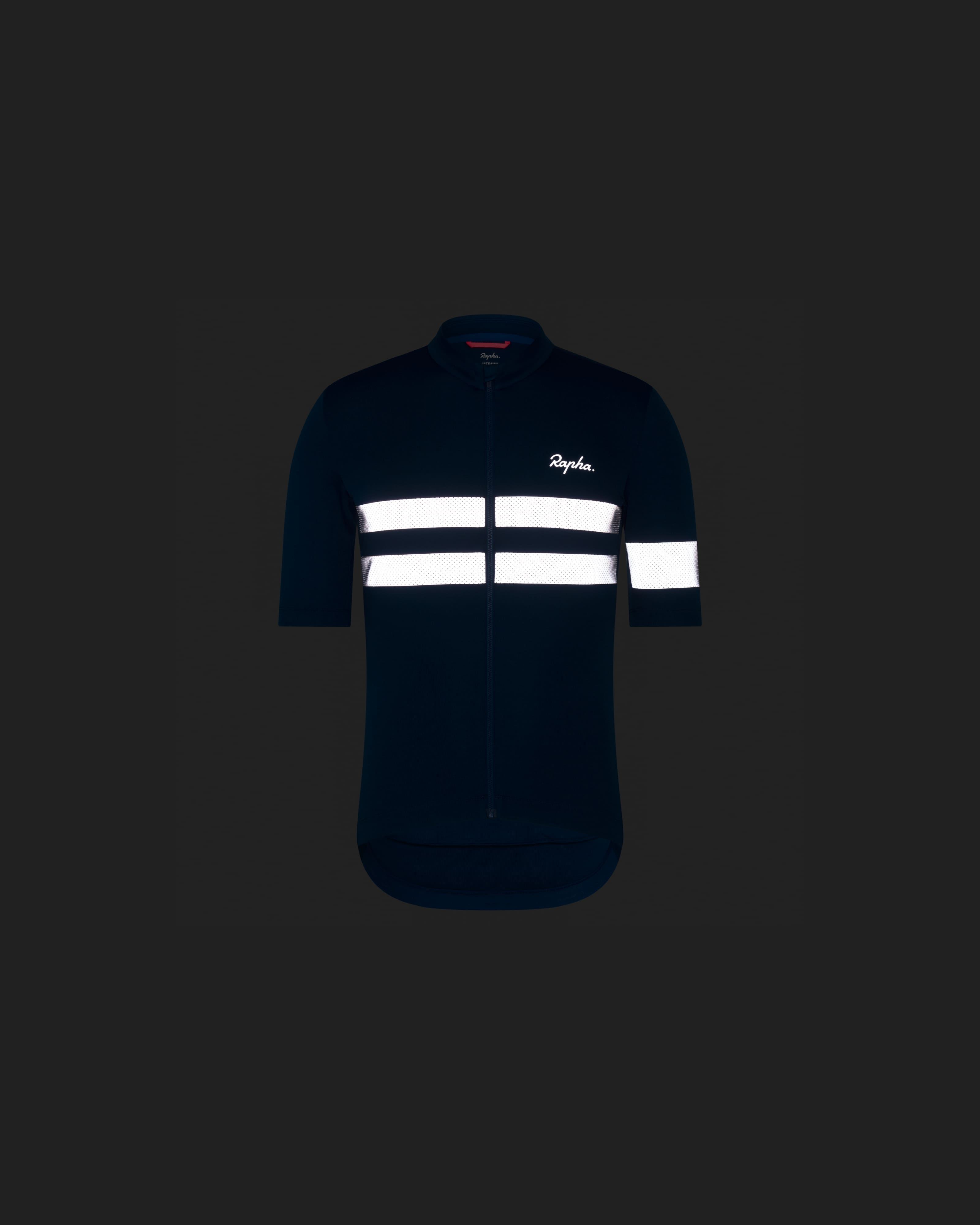 Men's Brevet Jersey