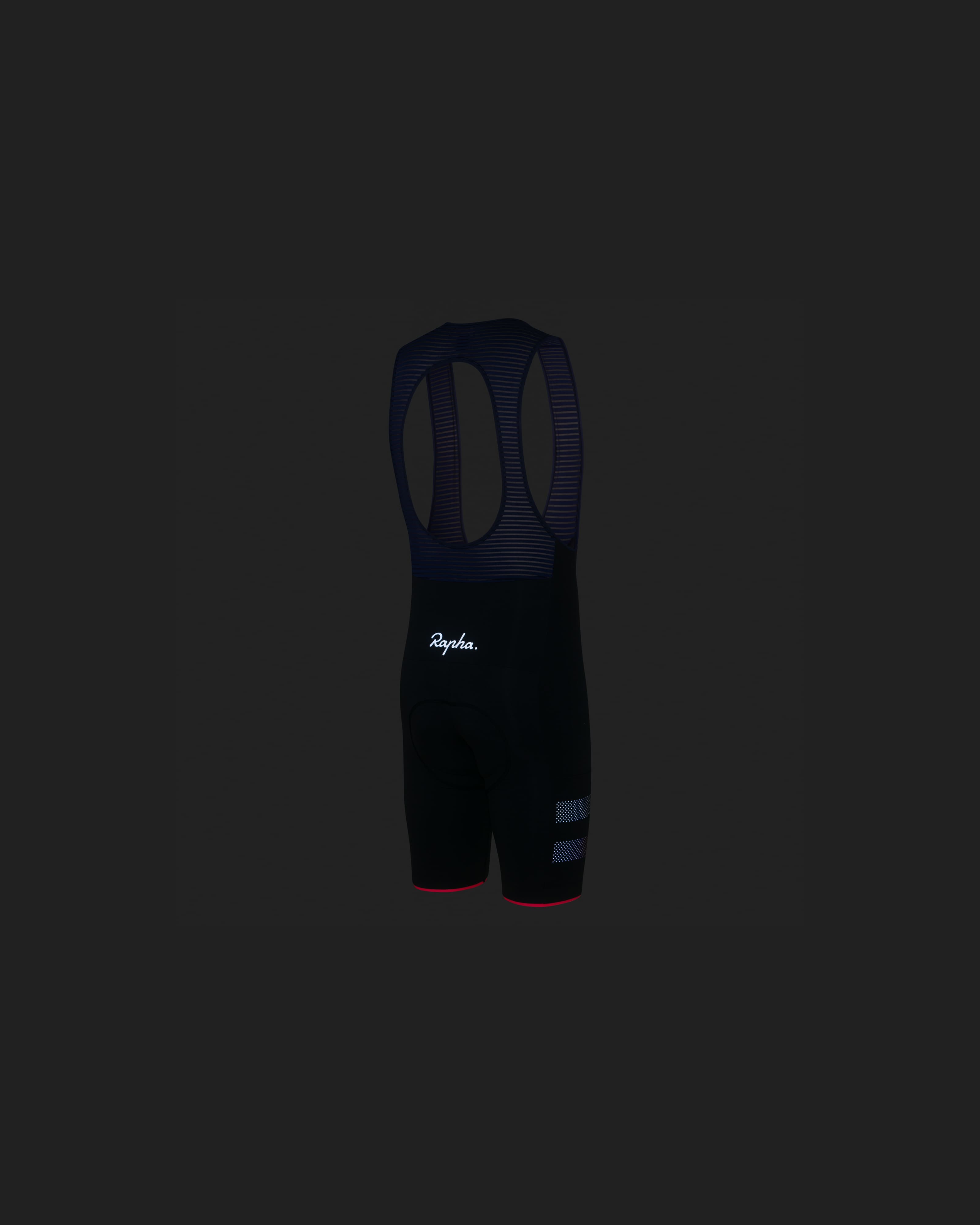 Men's Brevet Bib Shorts