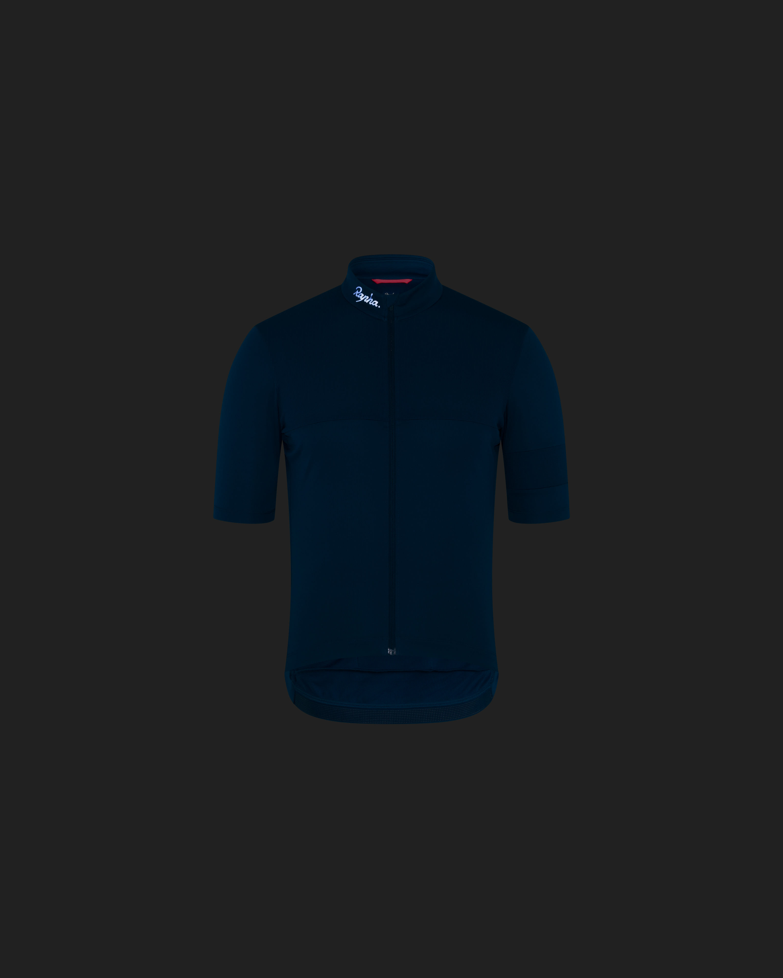 Men's Brevet Element Jersey