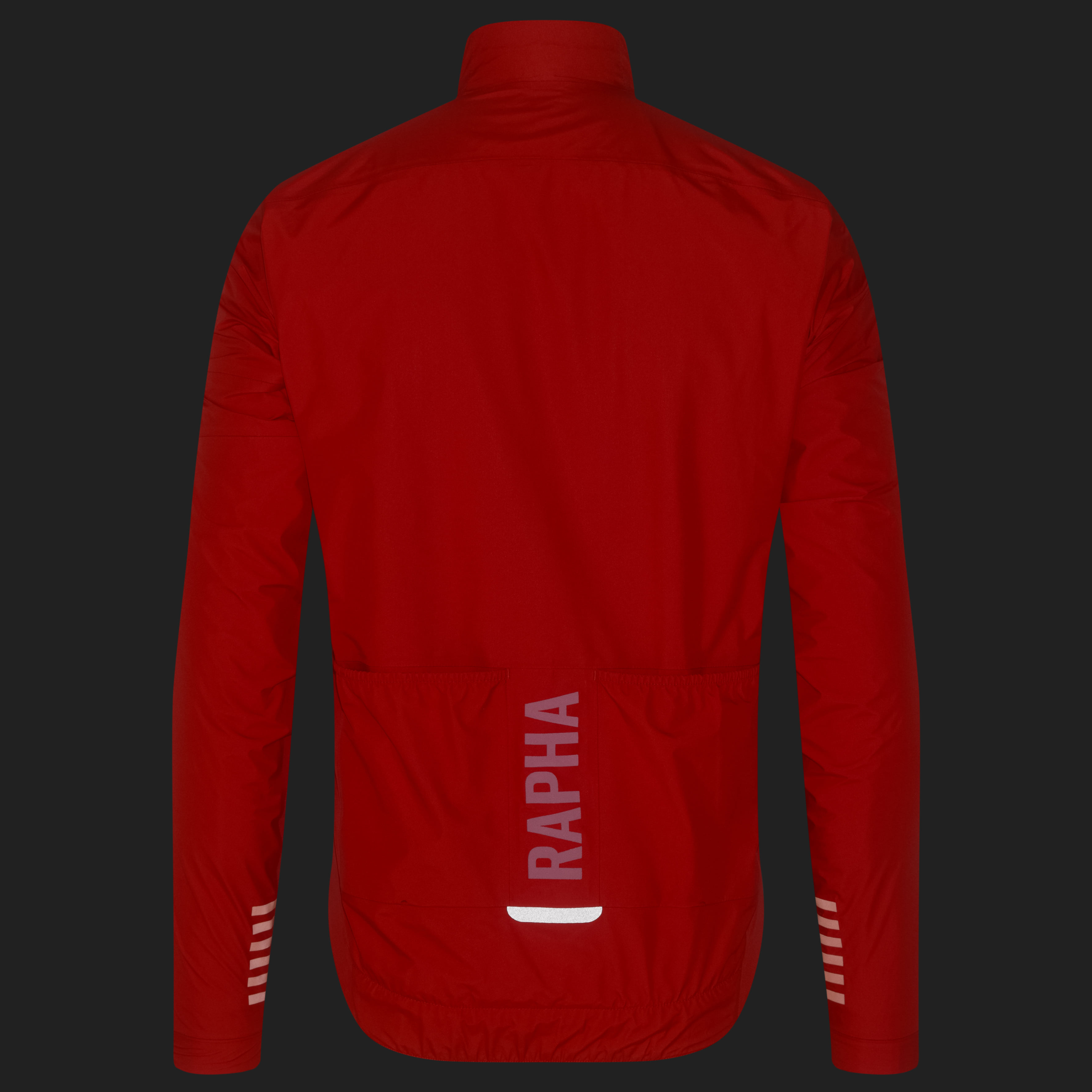 メンズ プロチーム インサレーティッド GORE-TEX レイン