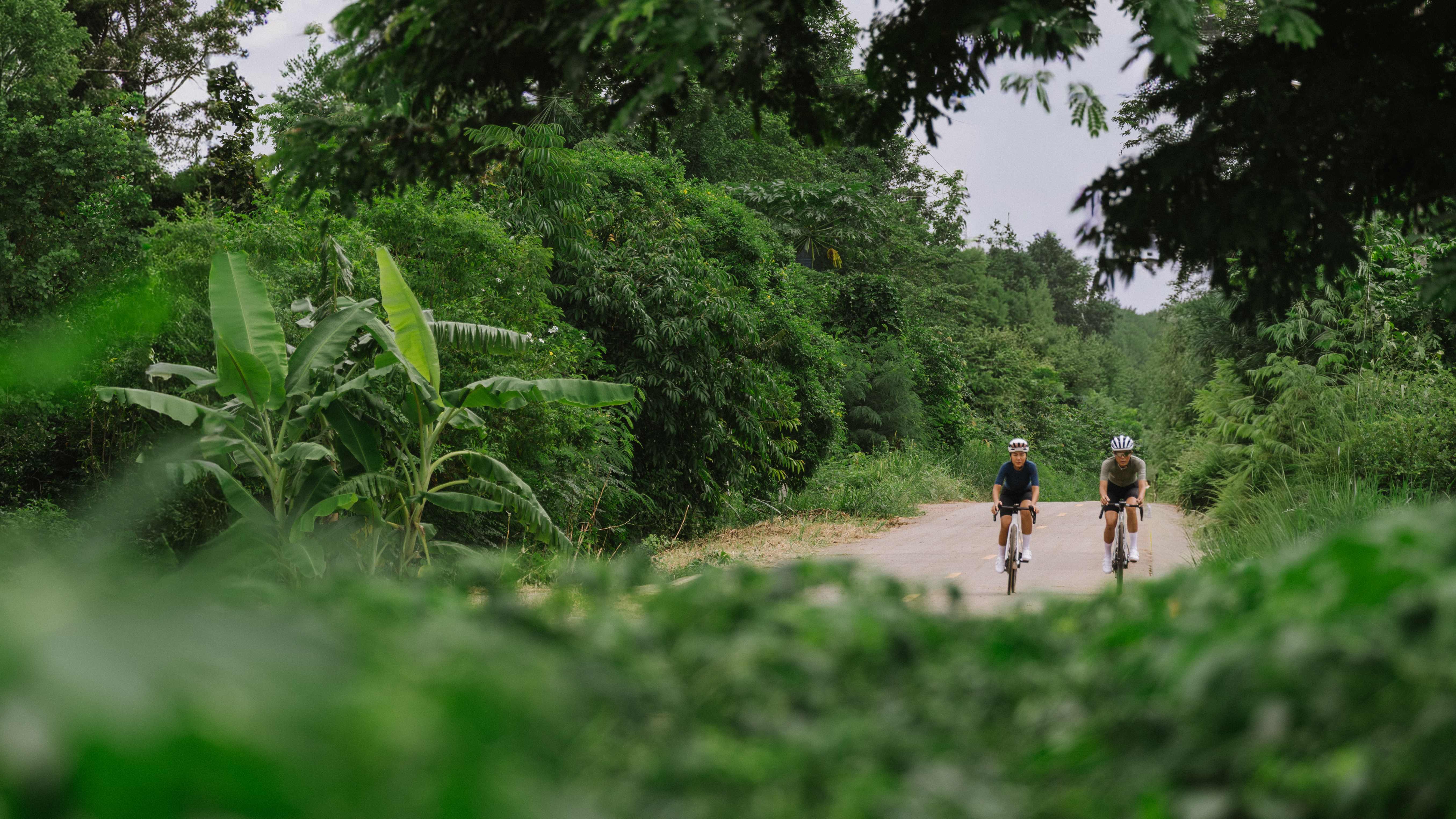 Early Season Arrivals