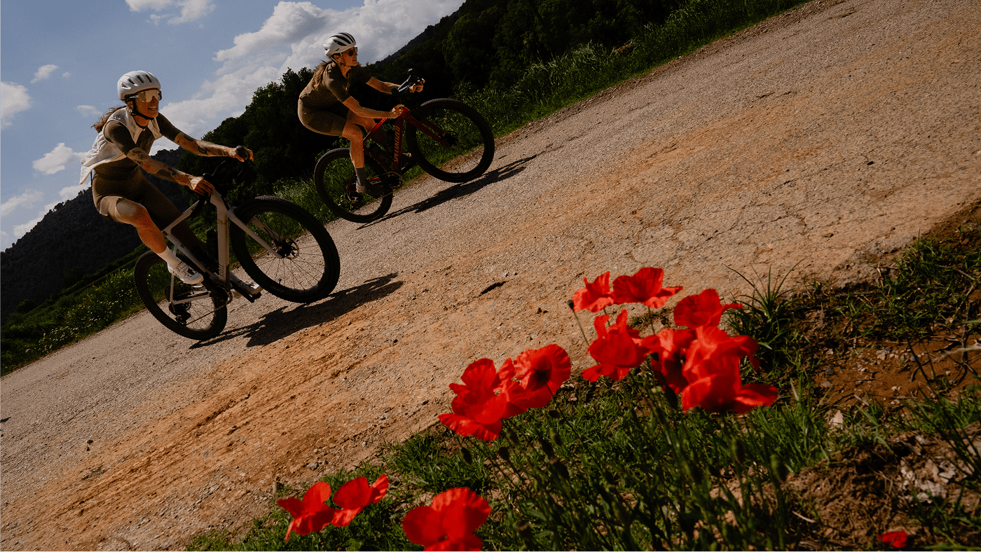 NEW BREVET COLOURS