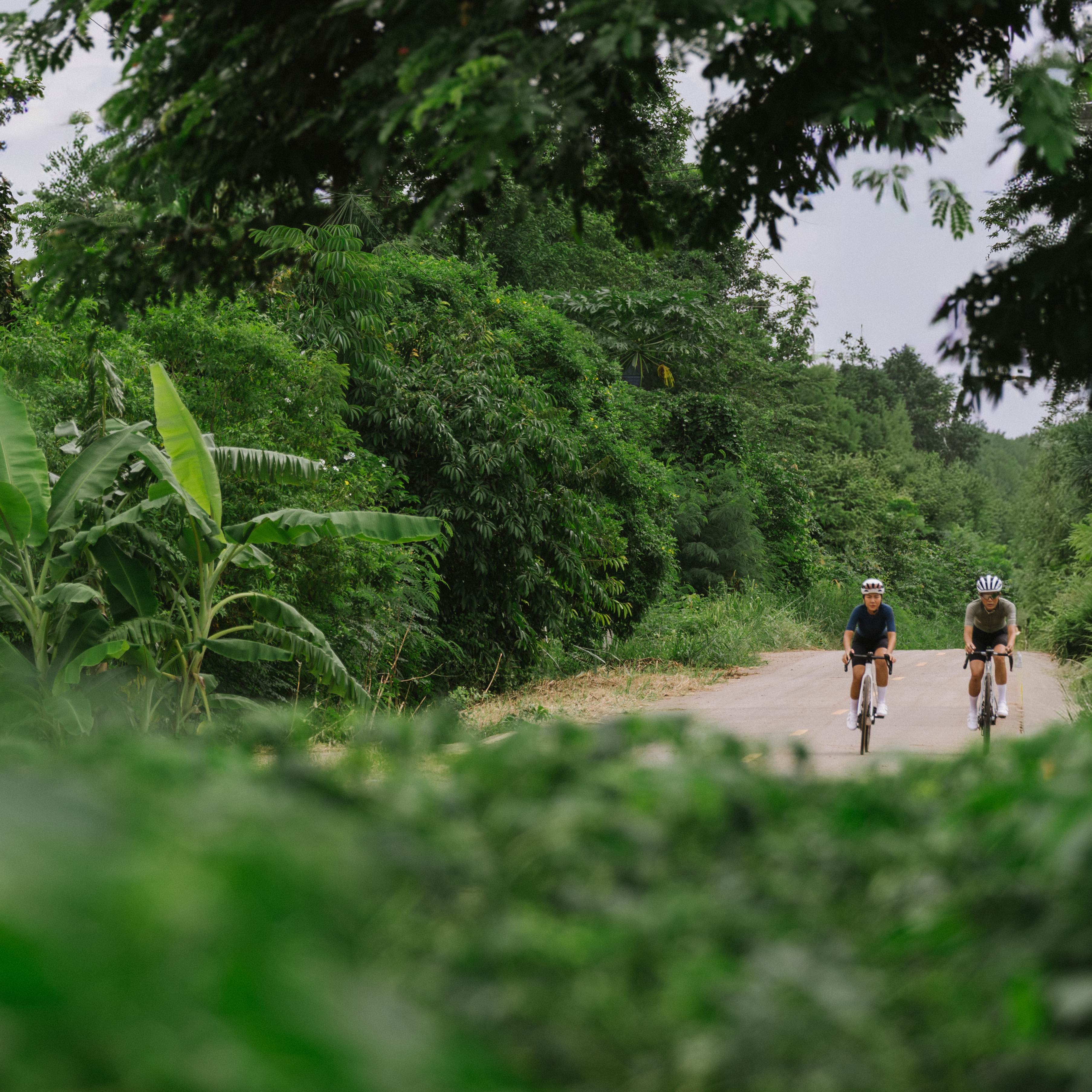 Early Season Arrivals Early Season Arrivals