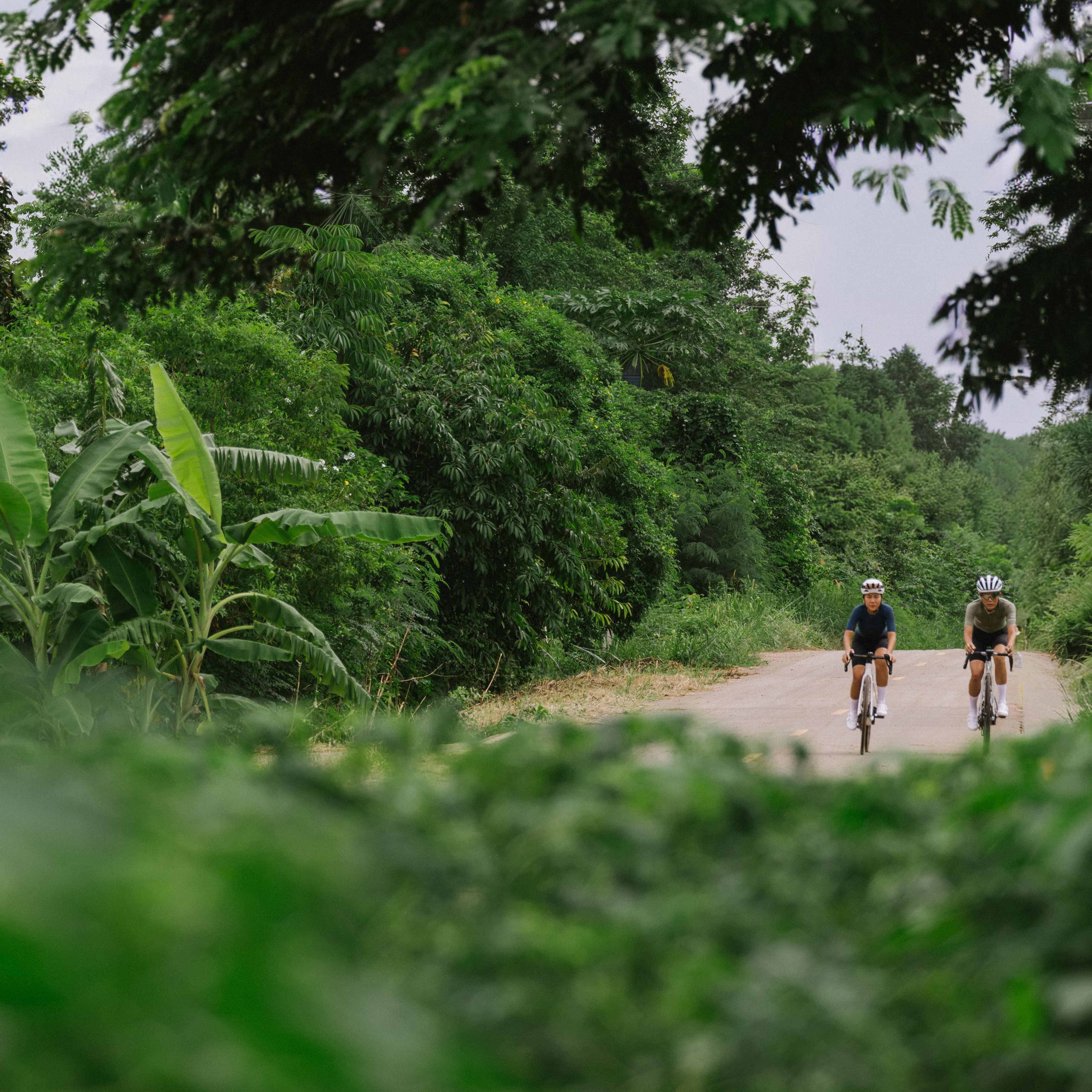 Early Season Arrivals