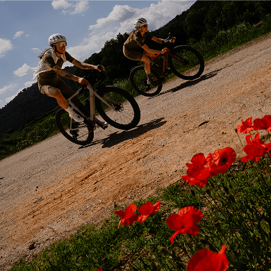 NEW BREVET COLOURS