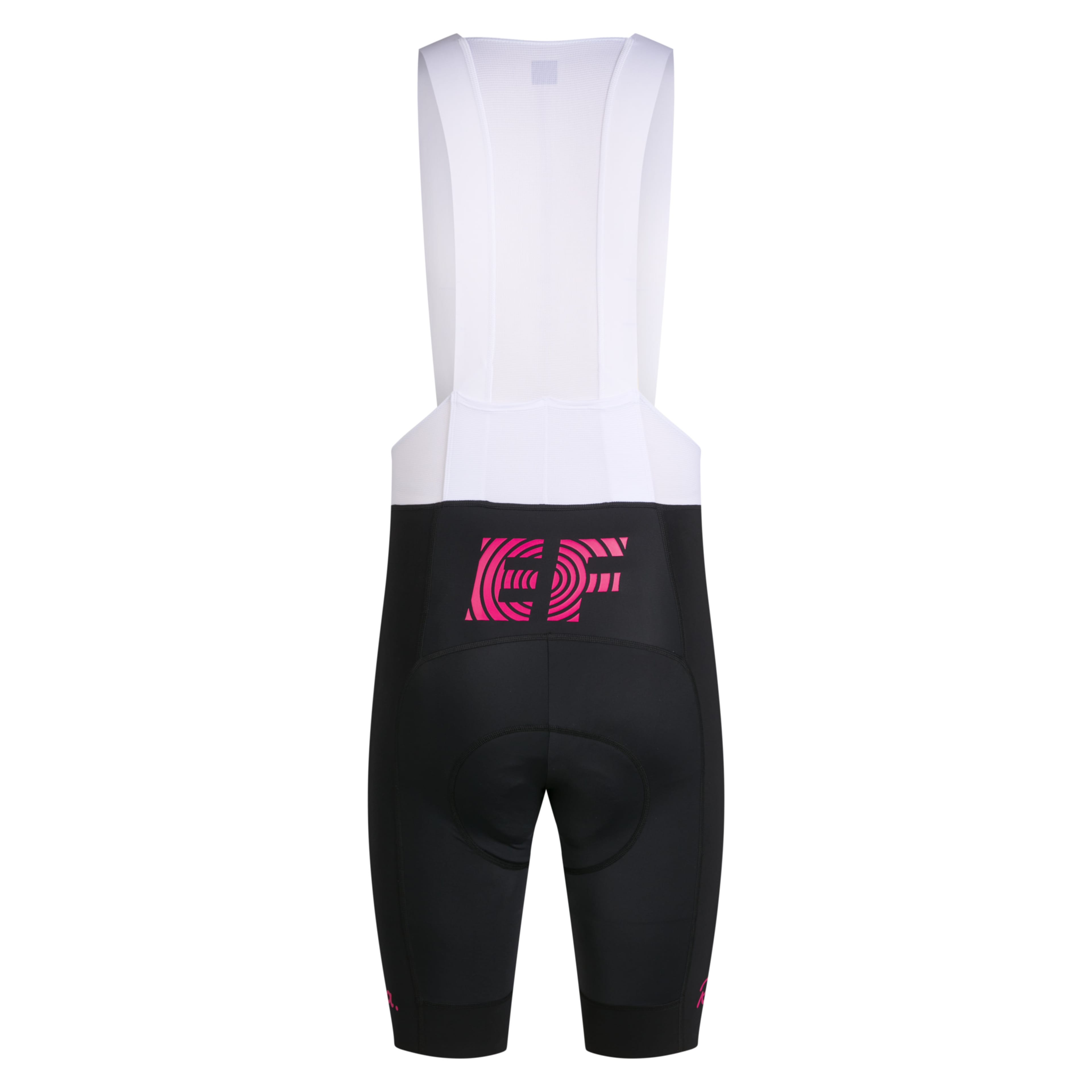 CPZ01XX_MUL_EF-Giro-Pro-Team-