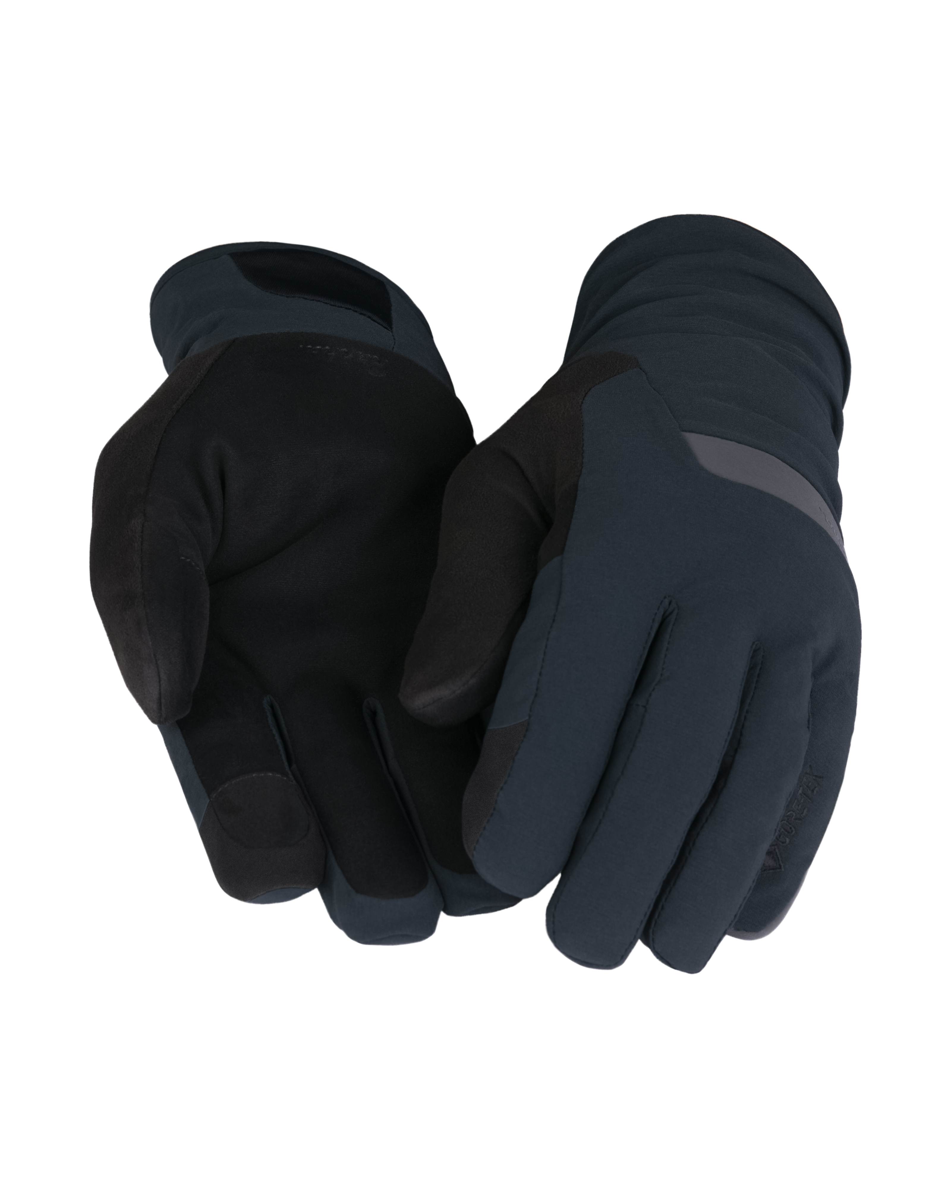 GORE-TEX Insulated Waterproof Gloves