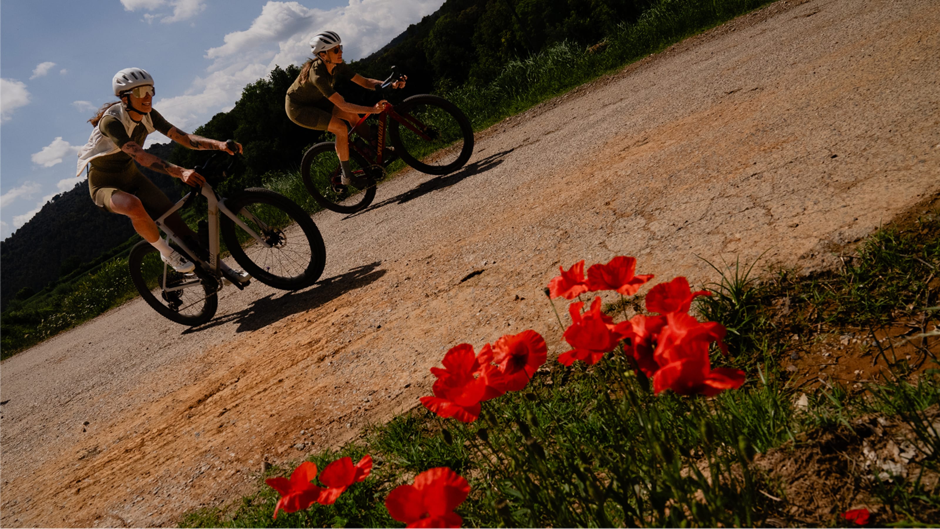 NEW BREVET COLOURS