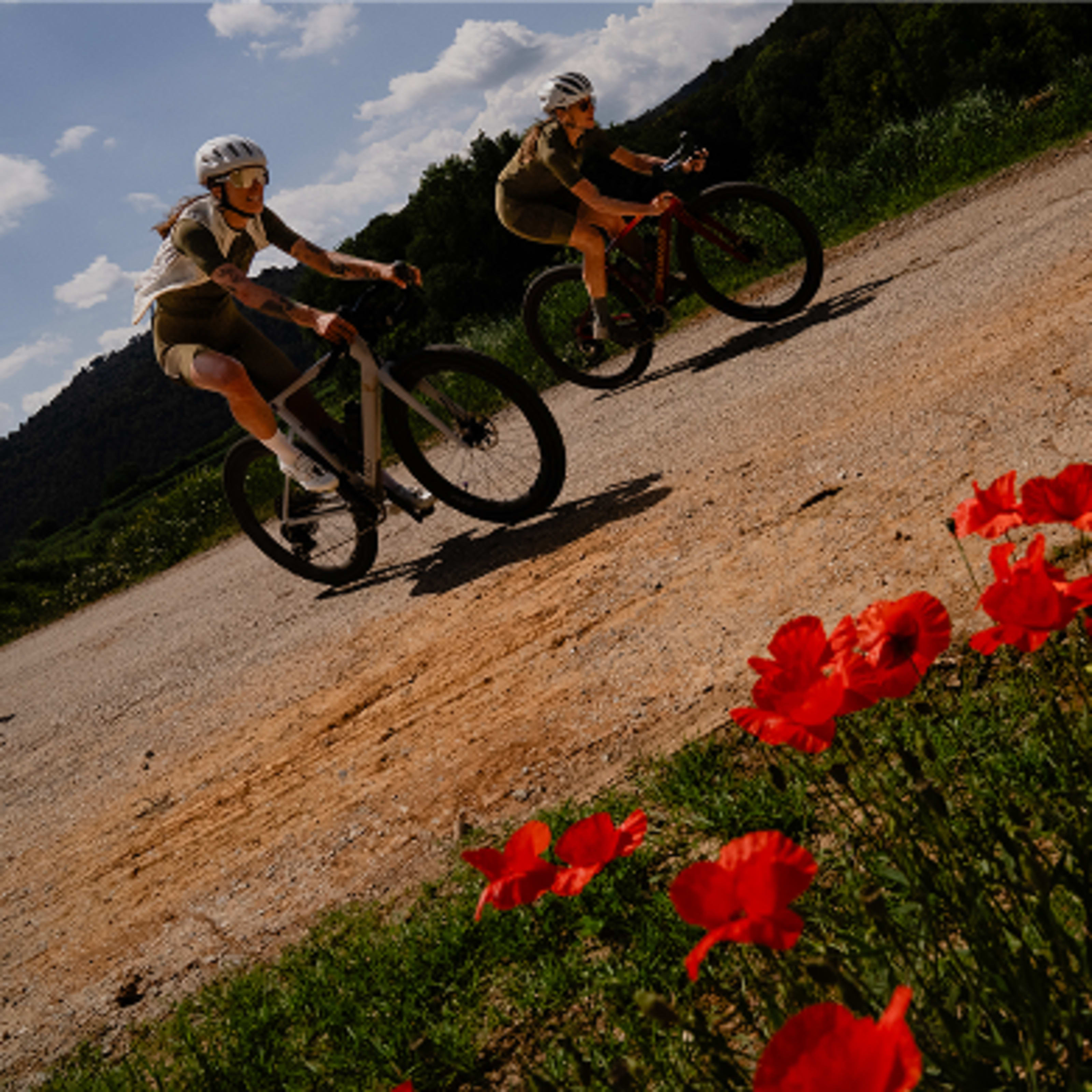 NEW BREVET COLOURS