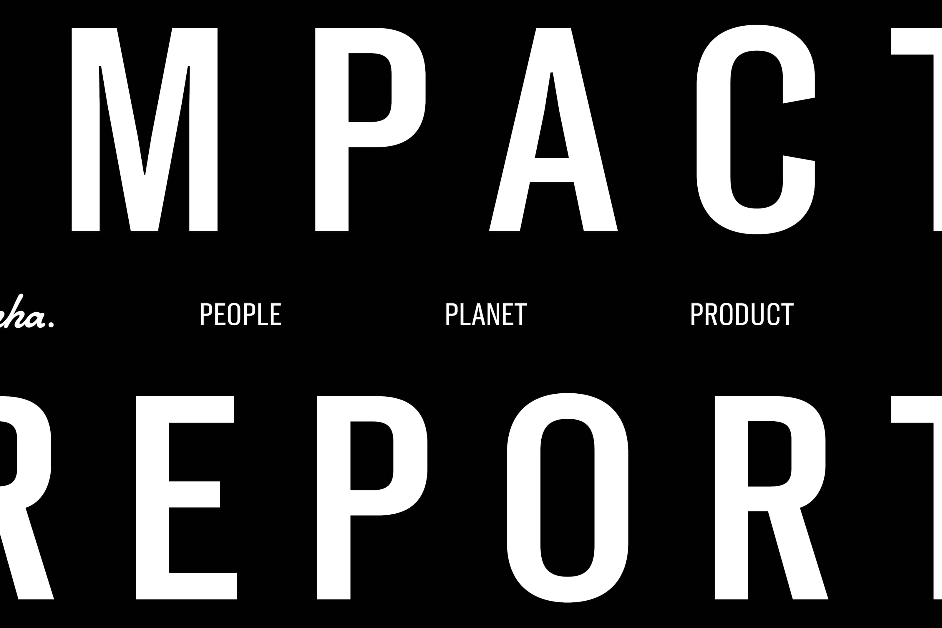 Impact Report 2025