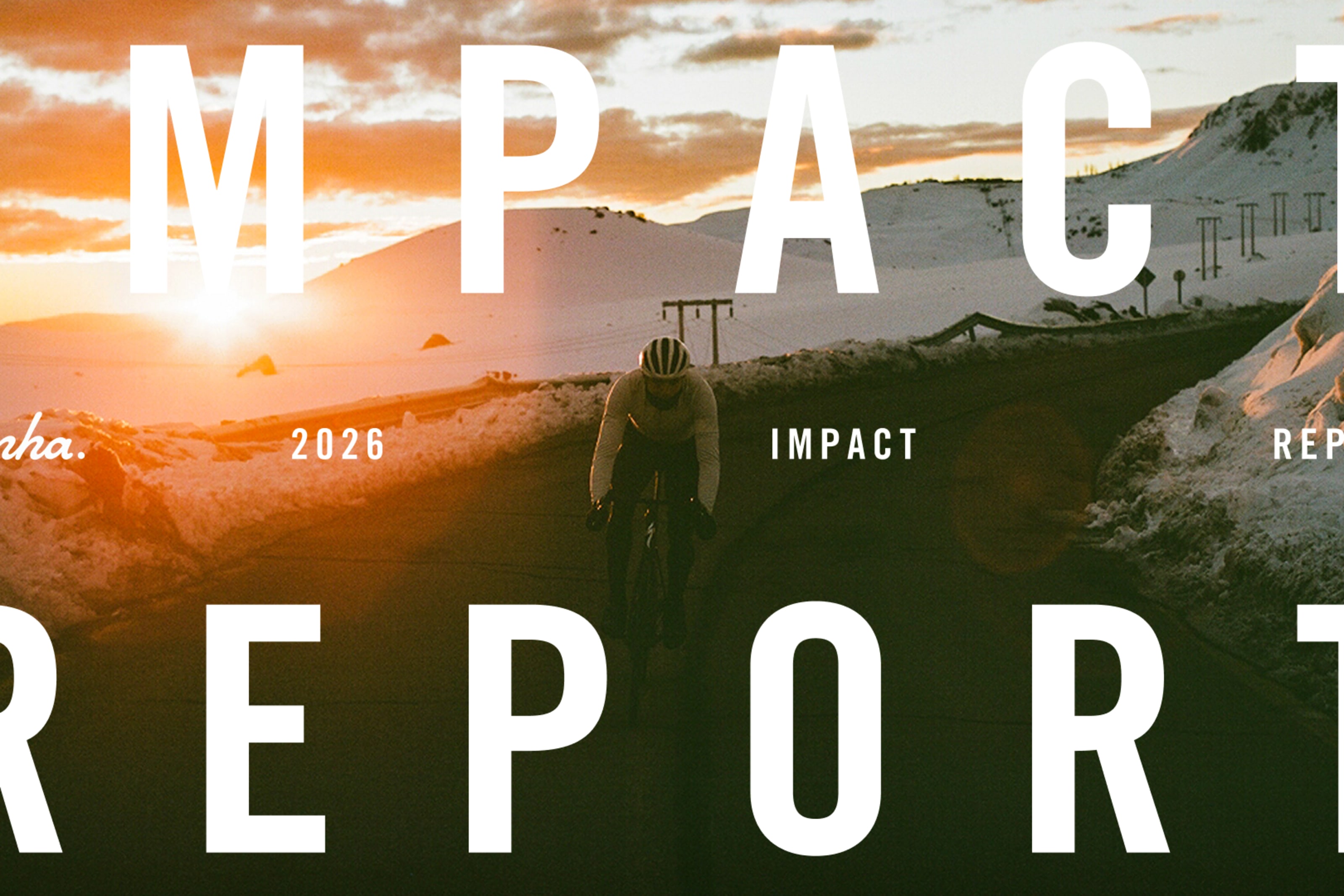 Impact Report 2026