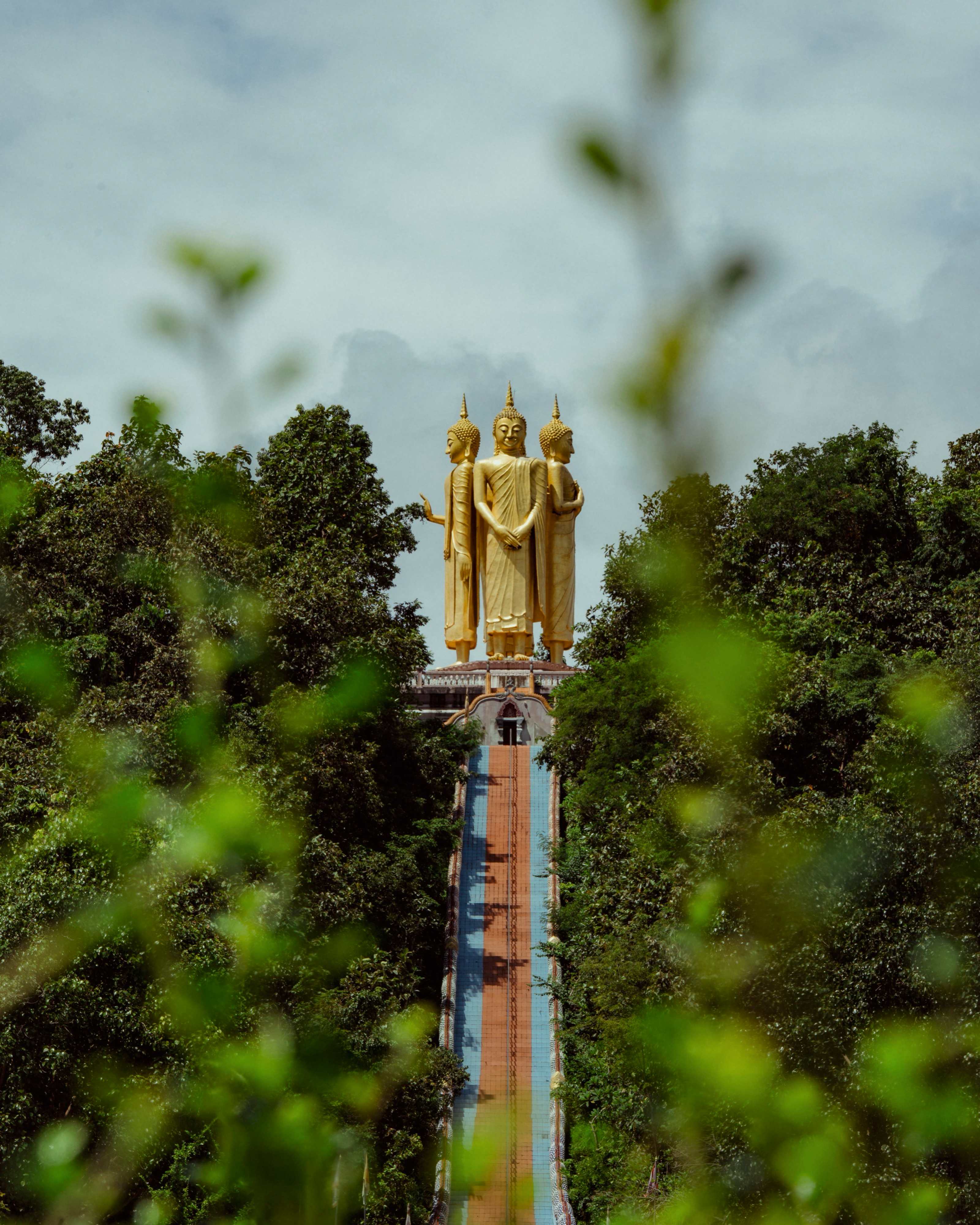 概述簡介