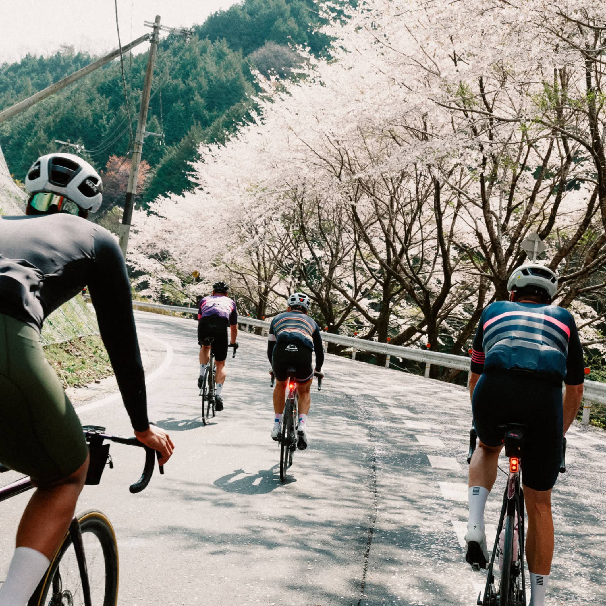 Rapha RCC 数量限定品ANNUAL Rapha x OPEN Limited Edition