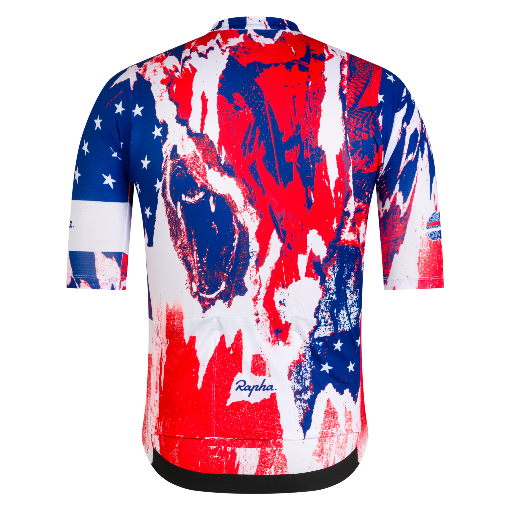 Santa Cruz htSQD メンズ プロチーム トレーニング ジャージ