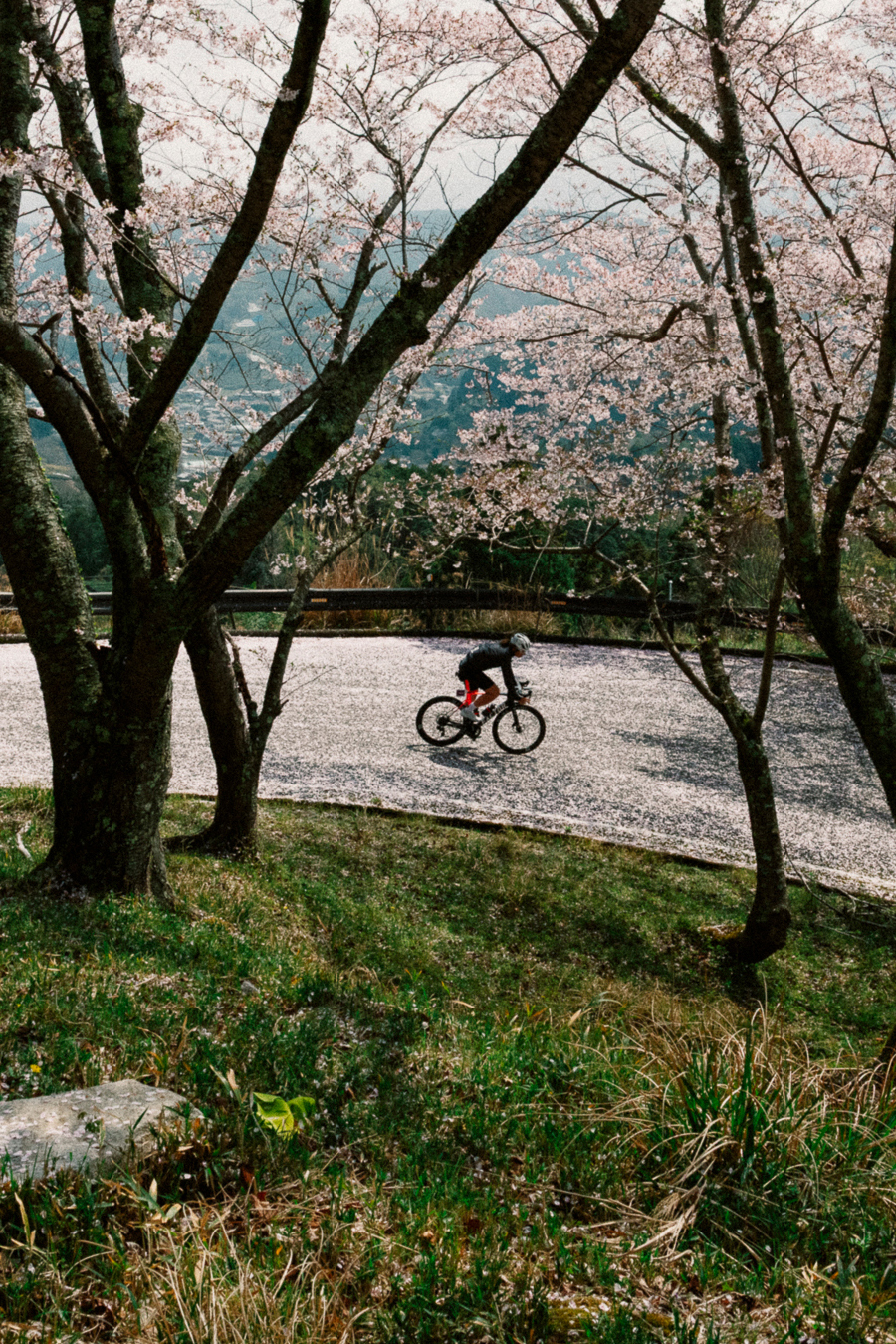Club Kit & Special Editions | Rapha