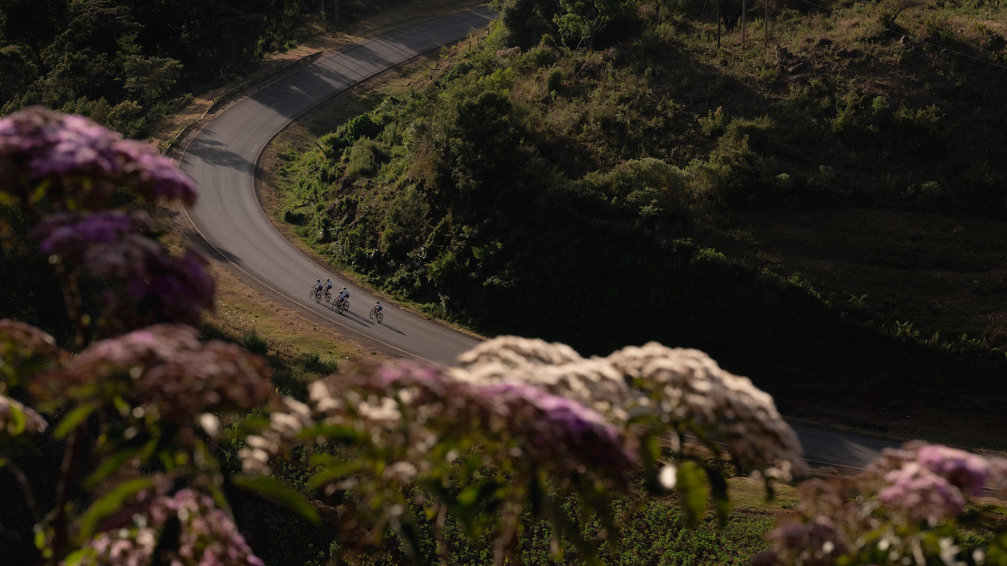 A GUIDE TO PRO TEAM A GUIDE TO PRO TEAM