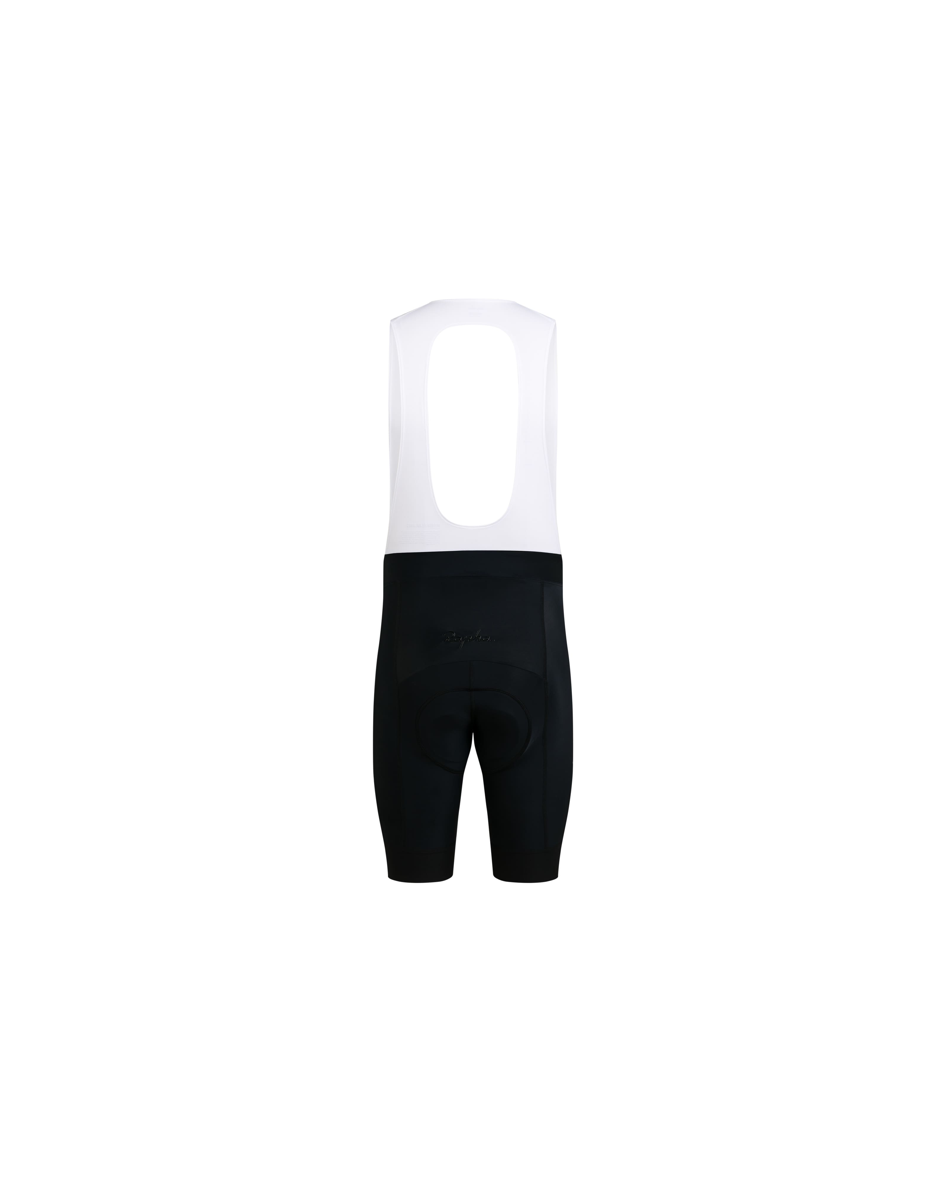 COB02RG_BLW_core-bib-