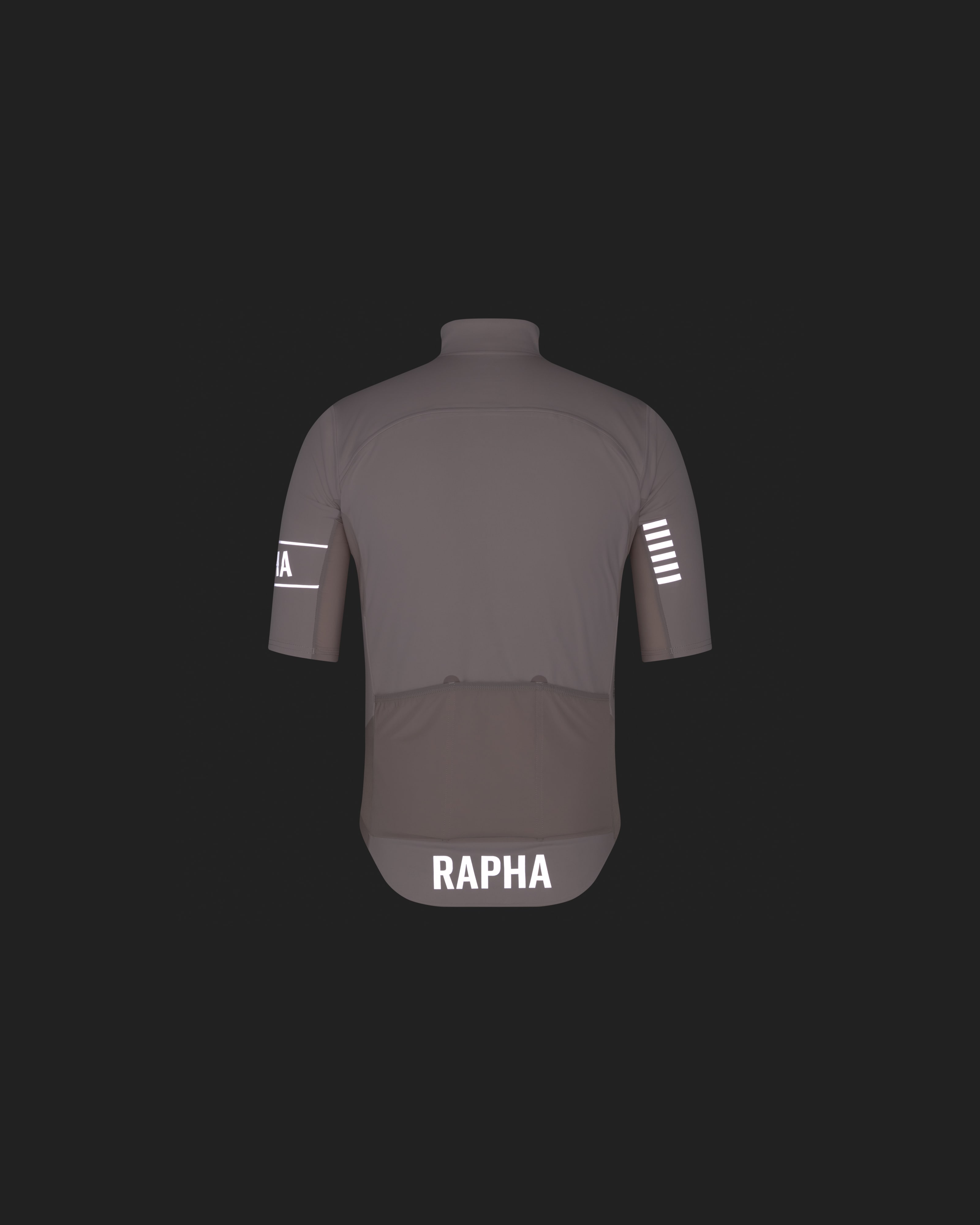 AHZ01SS_SVR_Mens-Pro-Team-