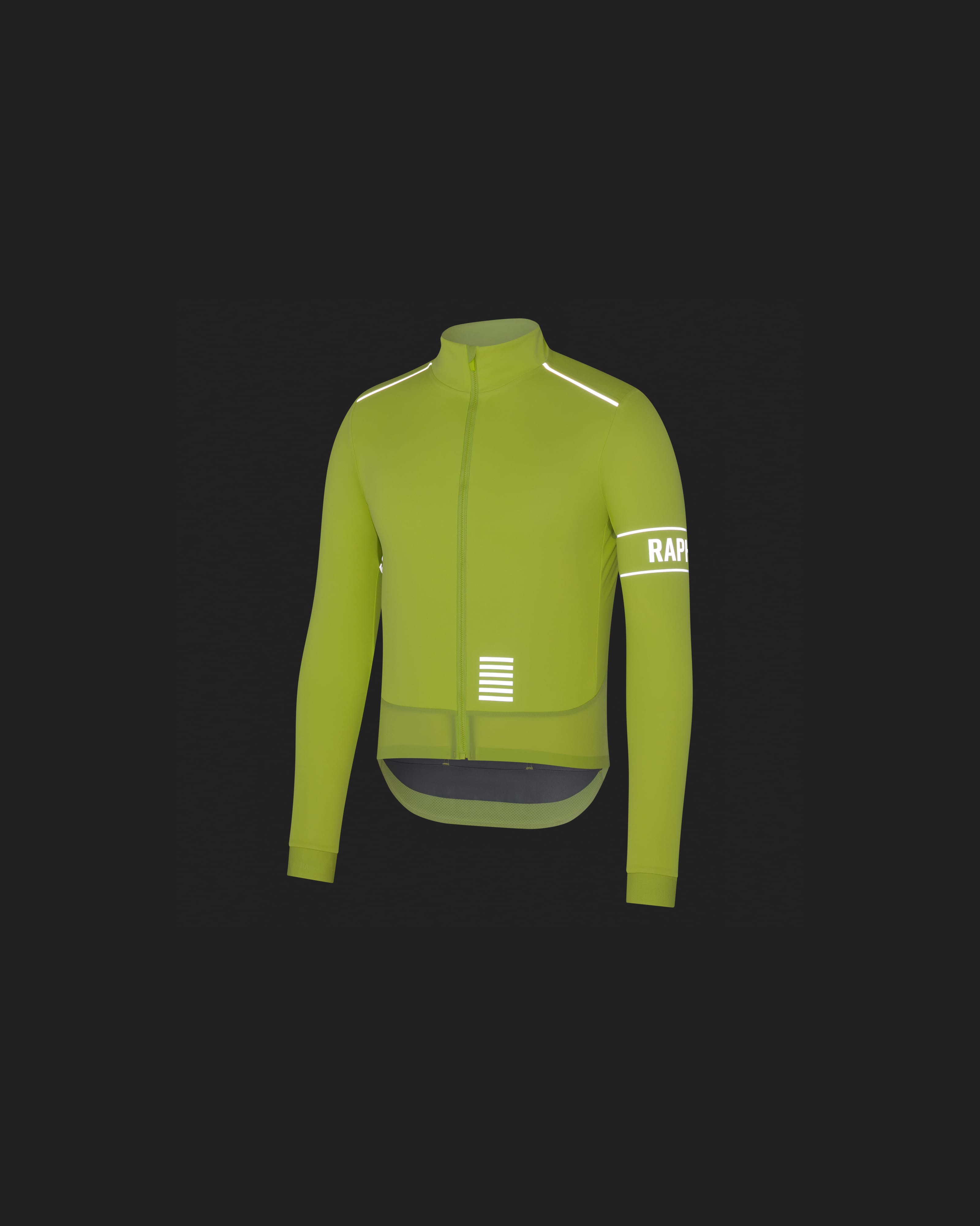 AHZ01XX_WLS_Mens-Pro-Team-Long