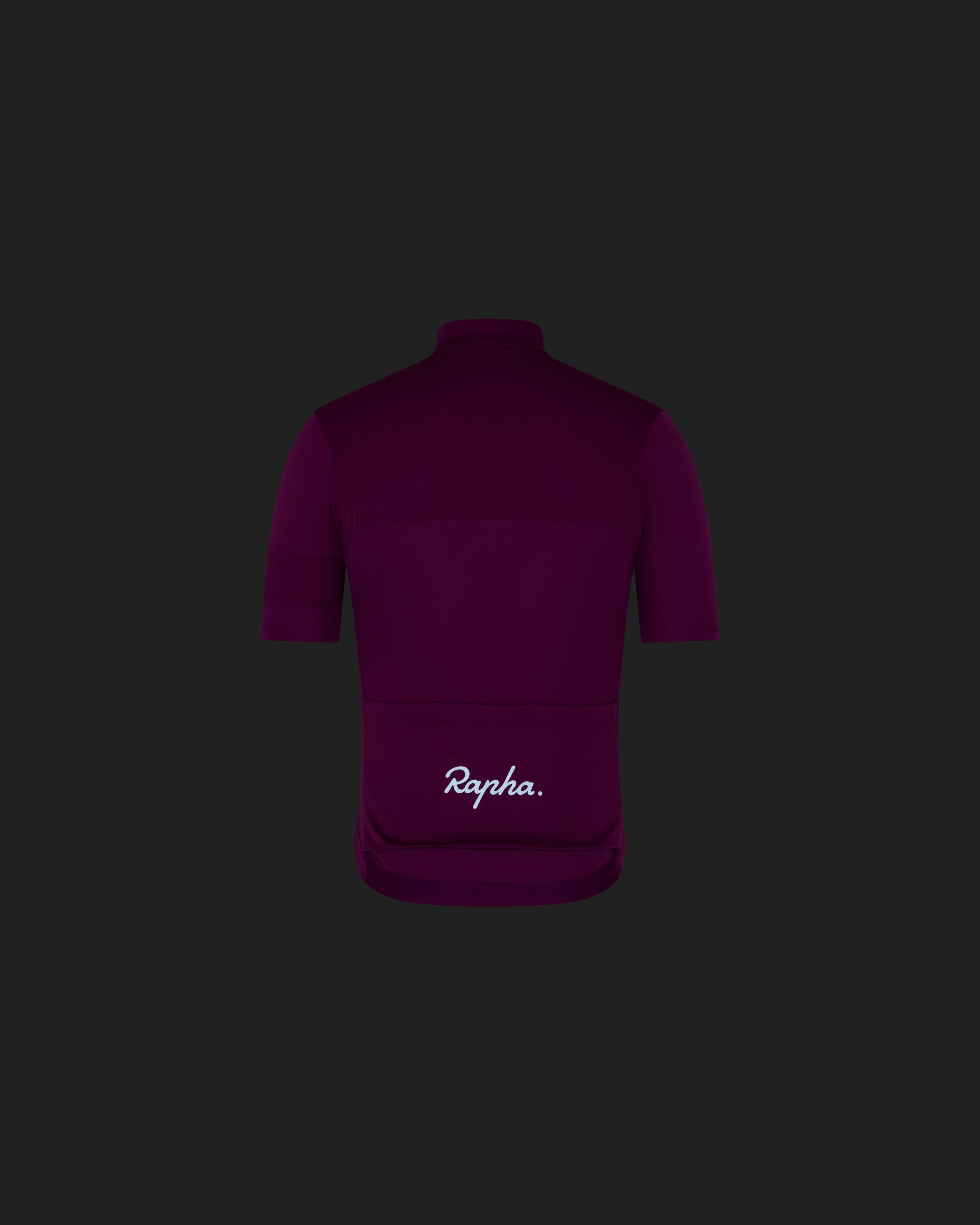 メンズ ブルベ エレメント ジャージ | Rapha