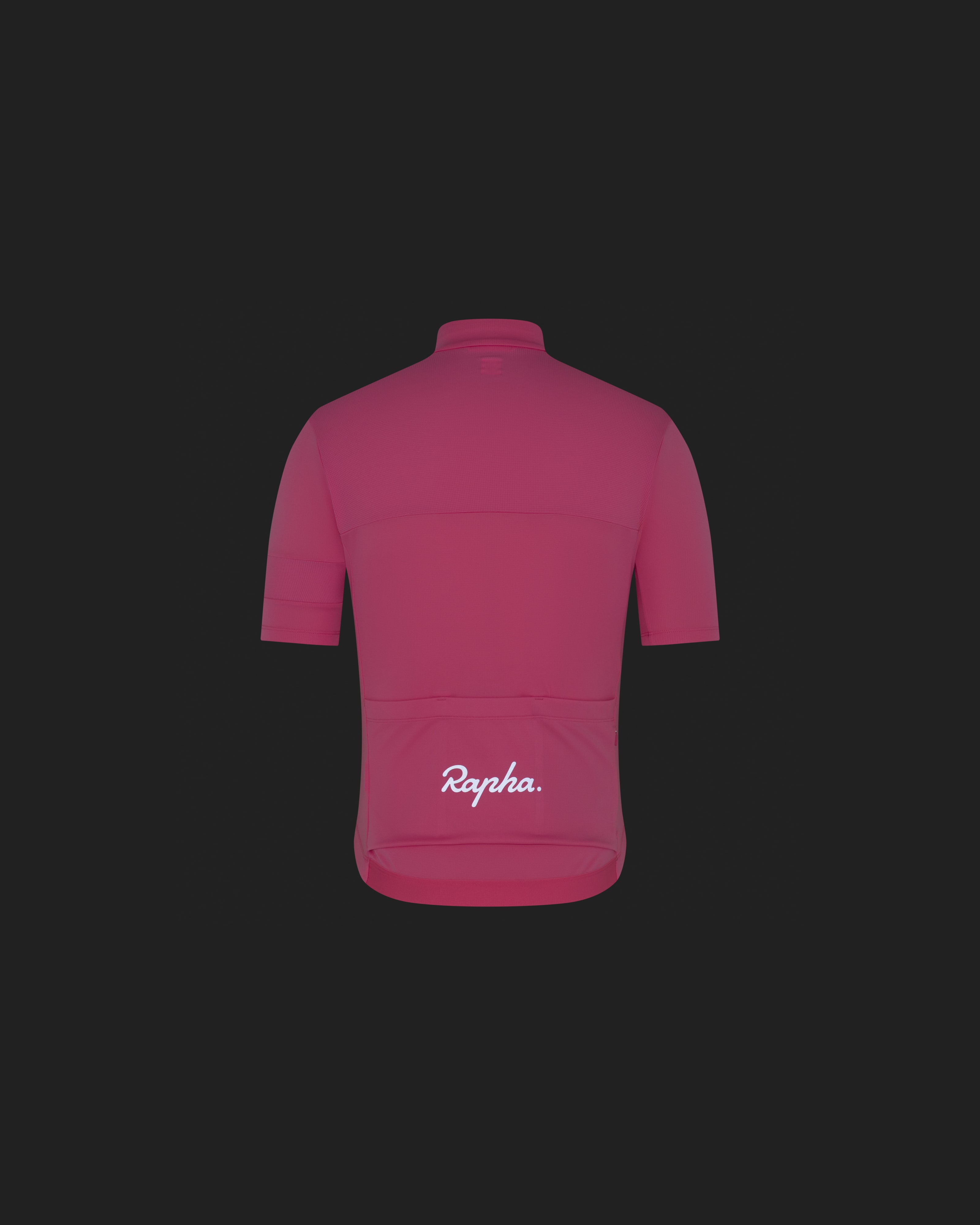 メンズ ブルベ エレメント ジャージ | Rapha