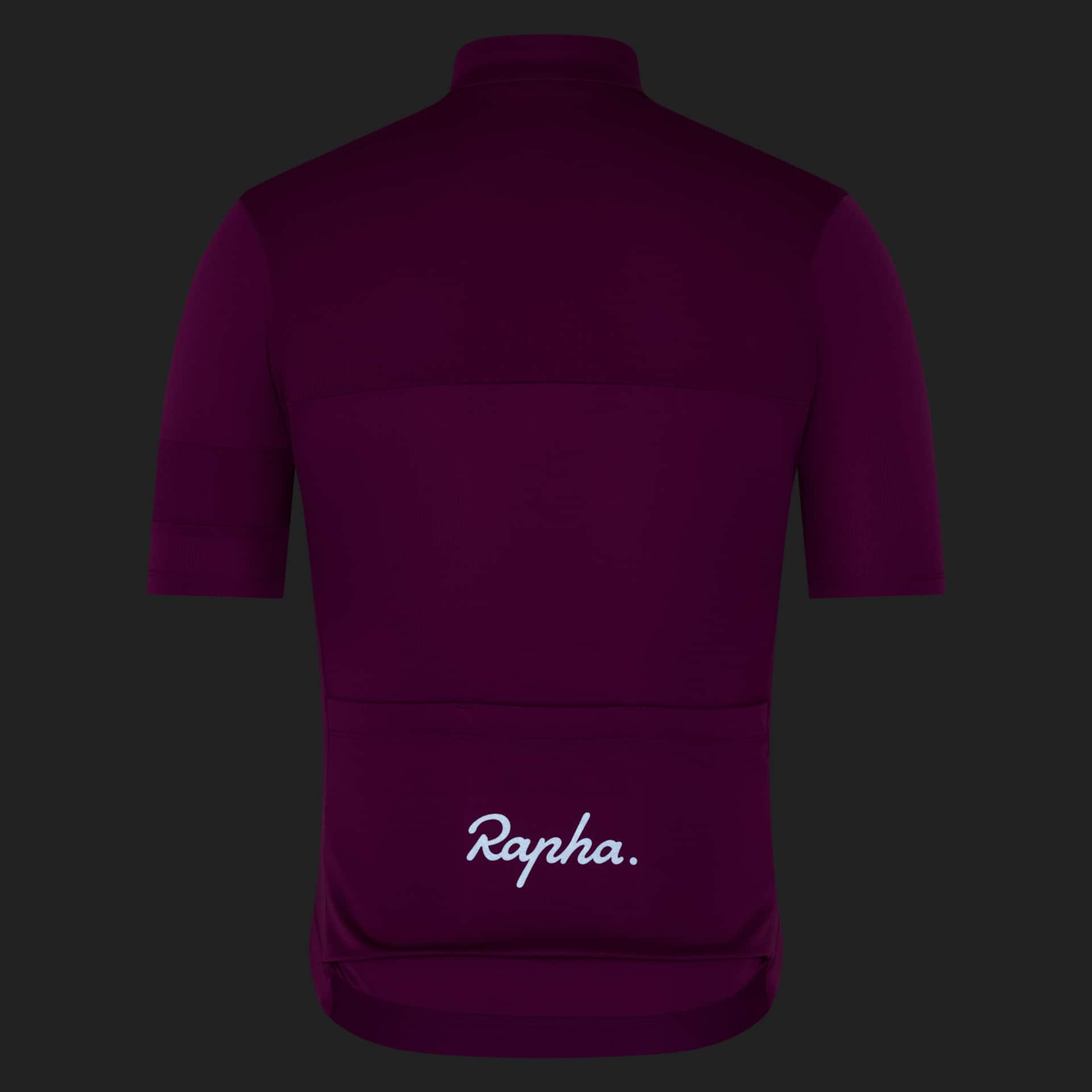 メンズ ブルベ エレメント ジャージ | Rapha