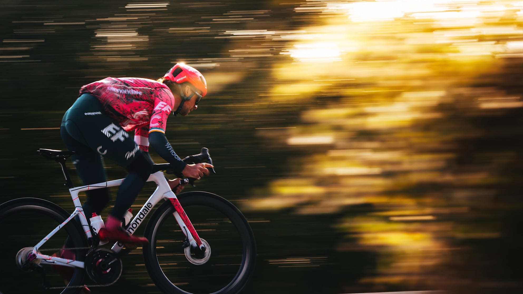 Efエデュケーション イージーポスト Rapha Site