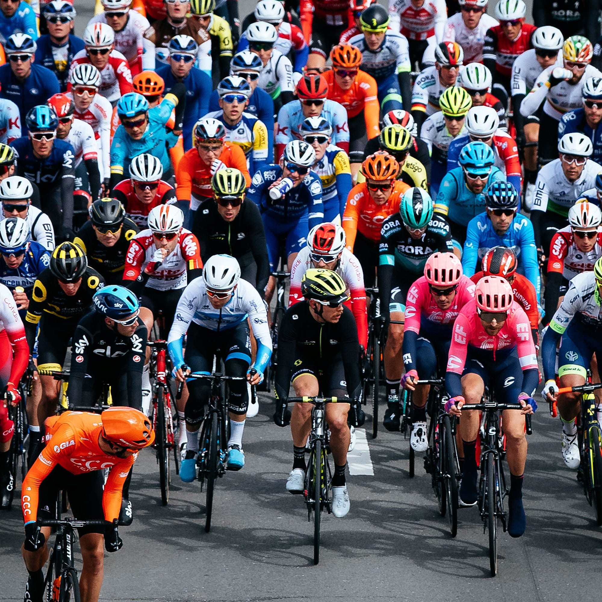 Taylor Phinney EF Education First Dwars door Vlaanderen