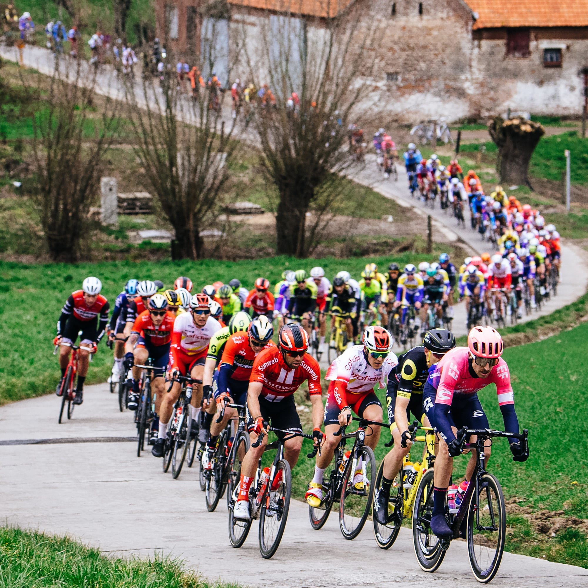 Taylor Phinney EF Education First Omloop