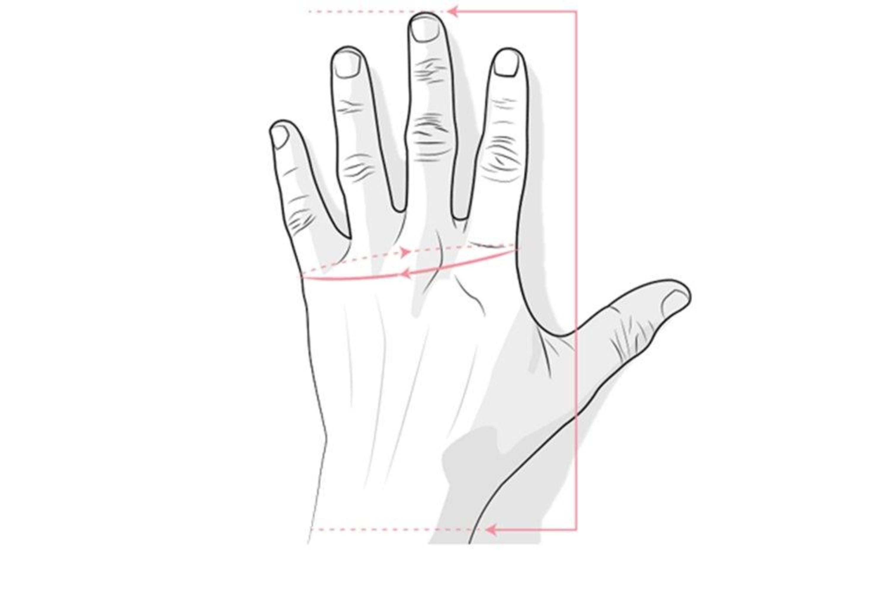 hand measuring