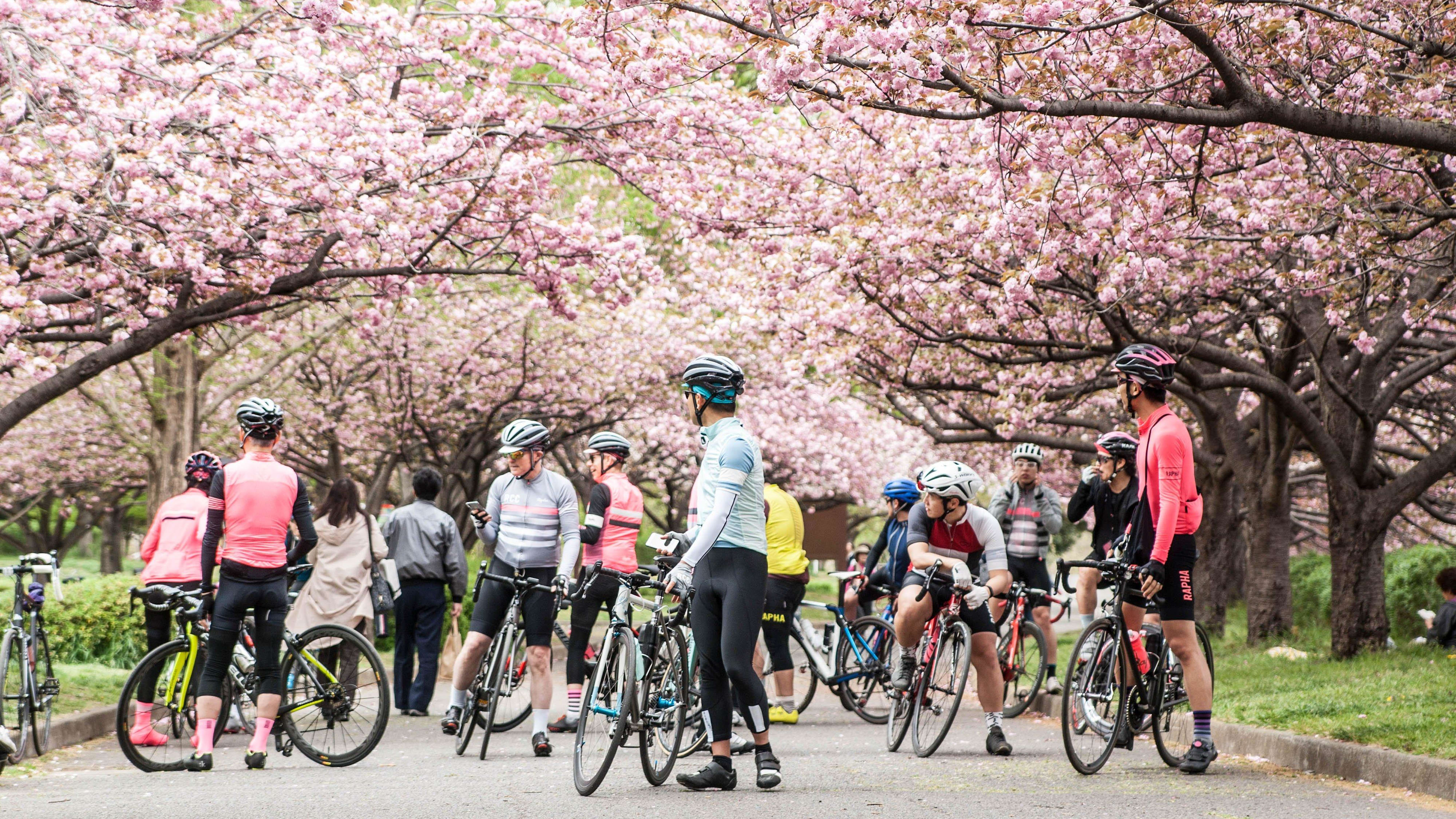 RCC Local Membership Benefits in Japan